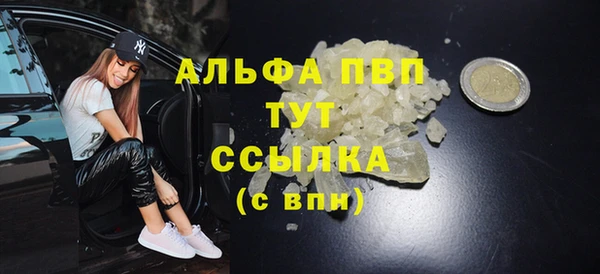 стафф Алзамай