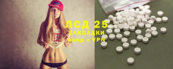 стафф Алзамай