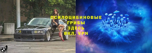 стафф Алзамай