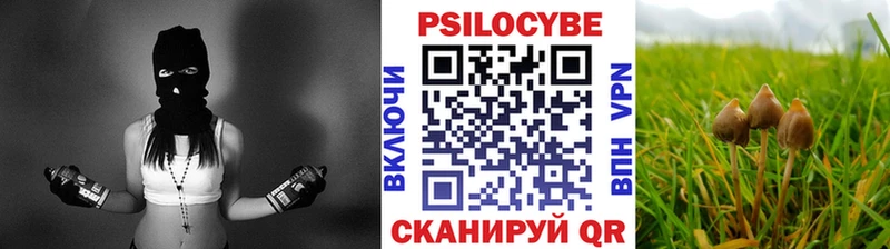 Галлюциногенные грибы Psilocybe  Чулым 